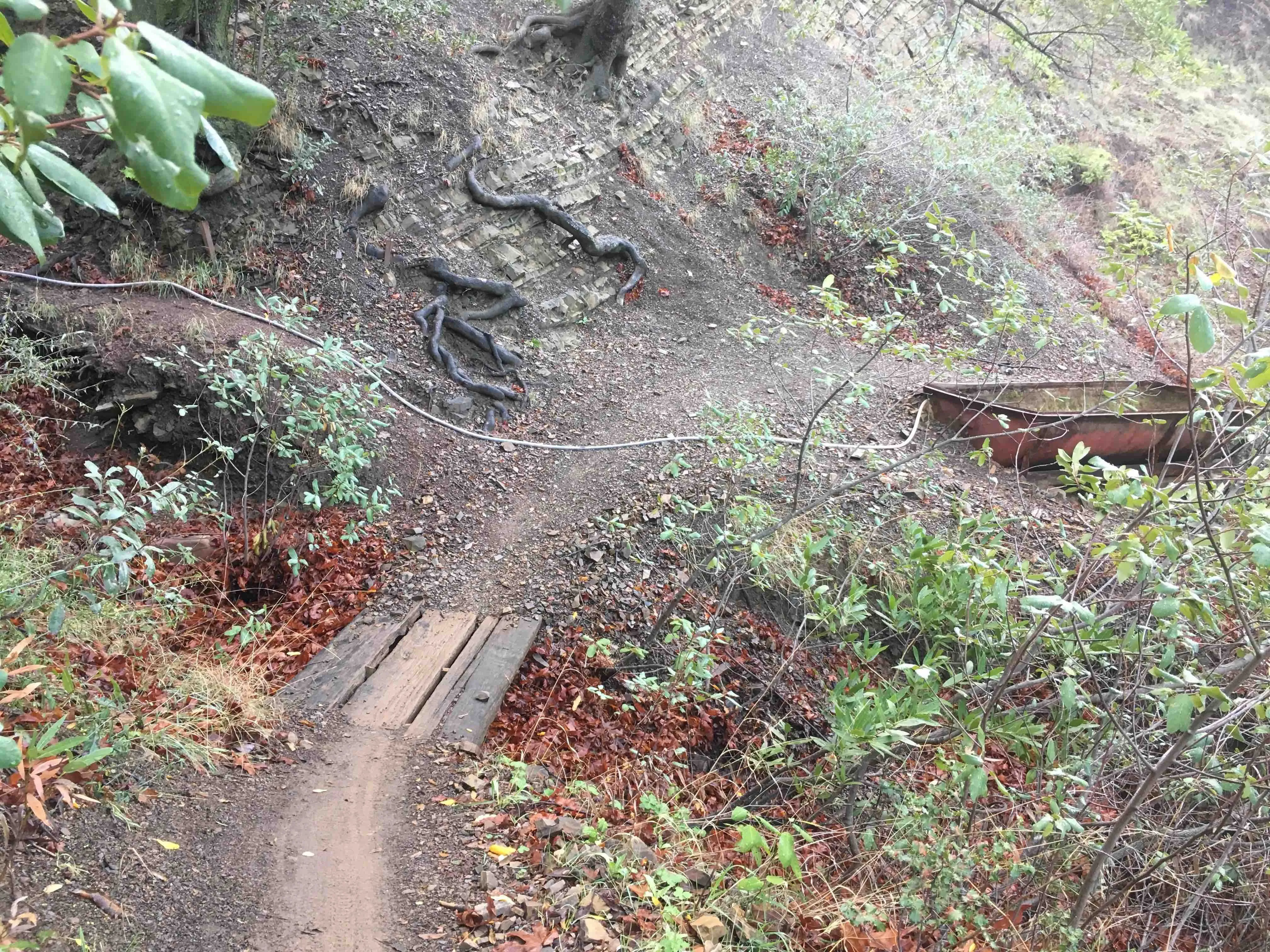 Gridley Springs camp water trough.