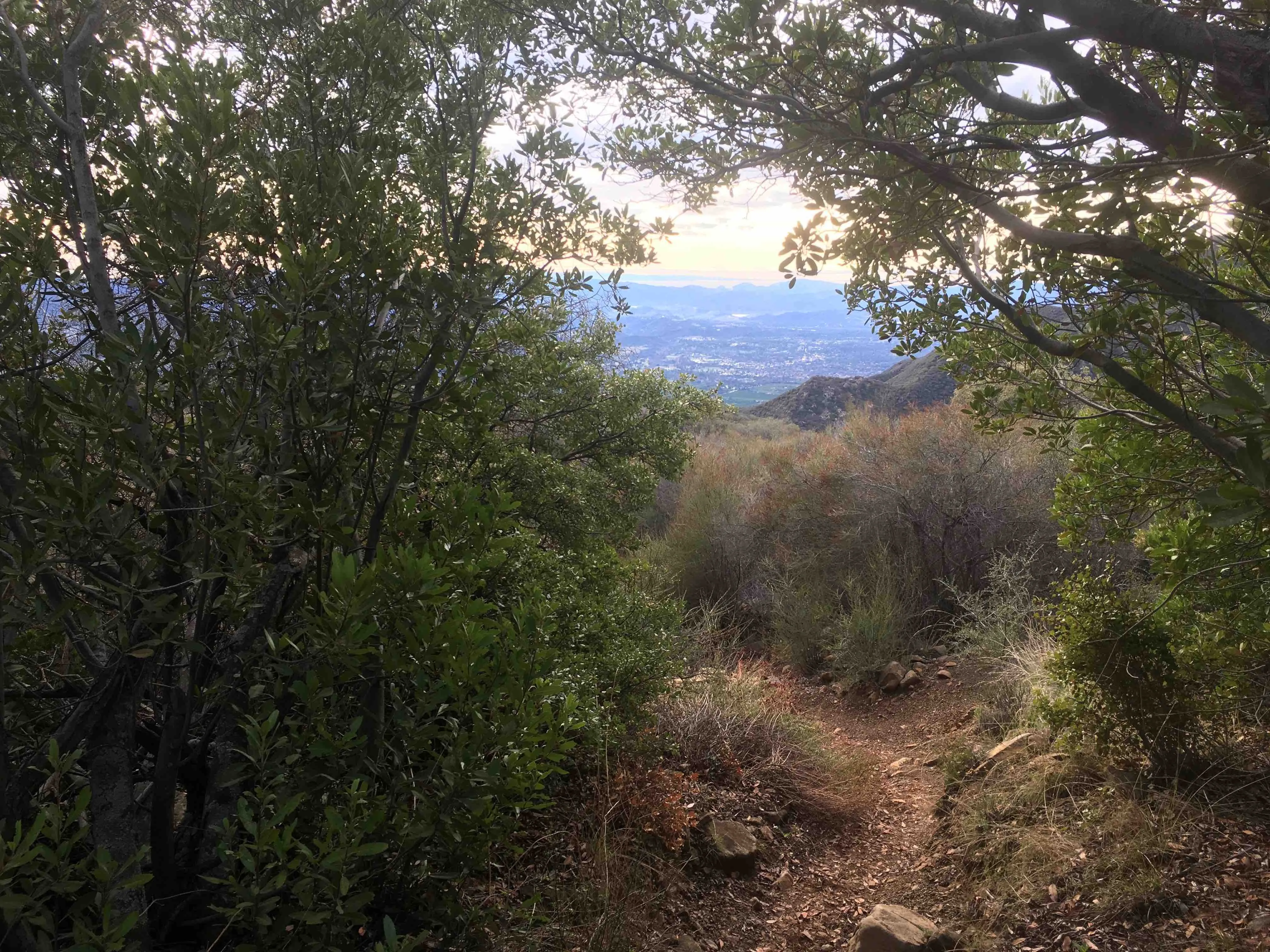 Horn Canyon Trail